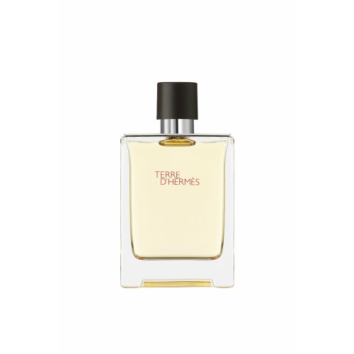 Hermes Terre D' Hermes Eau de Toilette 100ml